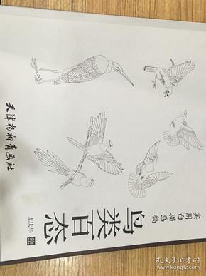 实用白描画稿：鸟类百态