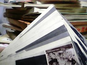 明信片 演员-剧照 10张)全