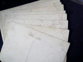 明信片 演员-剧照 10张)全