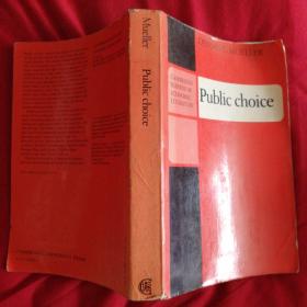 PUBLICCHOICE