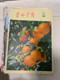 贵州画报1979年5期