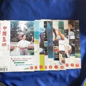 中国气功1995年第1.2.3.4.5.6.8.9.11.12期共10期