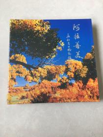 阿拉善美 孟和吉日格勒摄影集