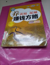 致富一招鲜——养黄鳝、泥鳅赚钱方略