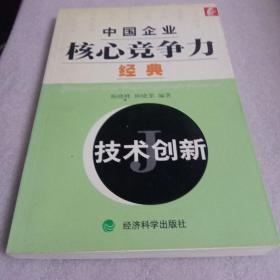 中国企业核心竞争力经典技术创新