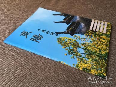 东阳十美村特刊