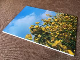 东阳十美村特刊