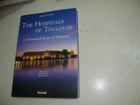 THE HOSPITALS OF TOULOUSE