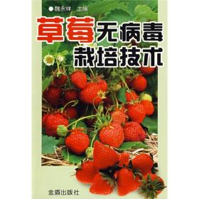 草莓种植技术书籍 草莓无病毒栽培技术