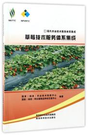 草莓种植技术书籍 草莓技术服务体系集成/现代农业技术服务体系集成