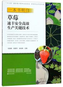 草莓种植技术书籍 一本书明白草莓速丰安全高效生产关键技术/新型职业农民书架·种能出彩系列