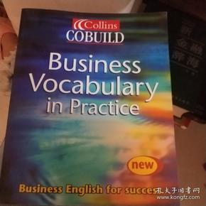 Collins COBUILD Business Vocabulary in Practice