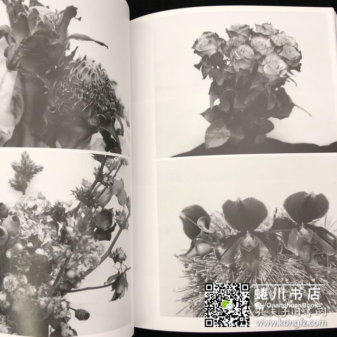 荒木经惟摄影集<写狂老人A>