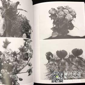荒木经惟摄影集<写狂老人A>