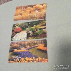贺卡 三张