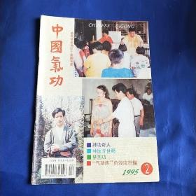 中国气功1995年2期