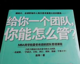 给你一个团队，你能怎么管？【2013年一版一印】全新塑封