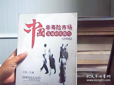 中国非寿险市场发展研究报告（2006）