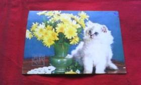 花和猫咪（明信片）