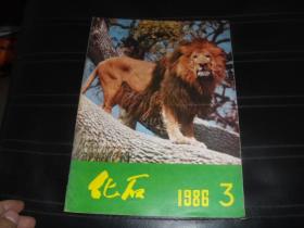 化石  1986  3