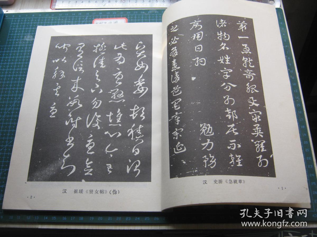 点击查看原图 草书临范