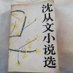 沈从文小说选