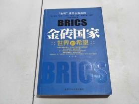 金砖国家 世界的希望