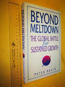 英文                大开本  超越崩溃：持续增长的全球斗争   Beyond meltdown: The global battle for sustained growth