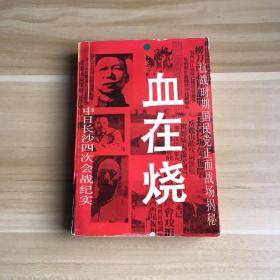血在烧:中日长沙四次会战纪实