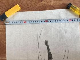 五虾图字画一幅 尺寸：0.7x0.33 买家自鉴、2号