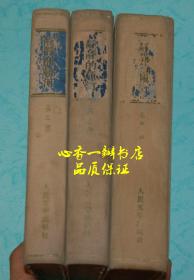 静静的顿河（第二～四部共三册）