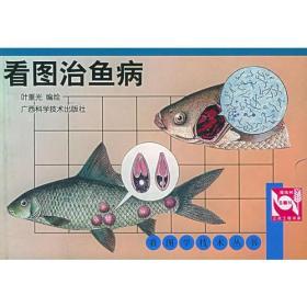 看图治鱼病——看图学技术丛书