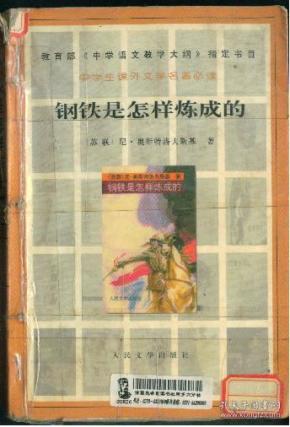 钢铁是怎样炼成的