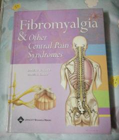 FIBROMYALGIA & OTHER CENTRAL PAIN SYNDROMES(纤维肌痛和其他中枢性疼痛综合征)英文原版