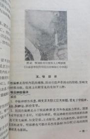 耳鼻咽喉科学 1962年