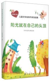 儿童文学金砖作家自选集：阳光就在自己的头顶（许申高作品精选集）