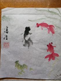 潘君诺花鸟小品金鱼一帧