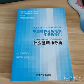 中法精神分析培训实务教程III：什么是精神分析