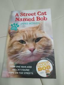 A Street Cat Named Bob：How one man and his cat found hope on the streets