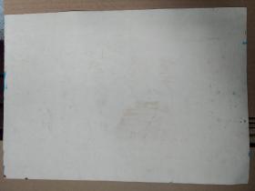 花卉 广告画原稿