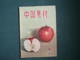 16开，1959年，創刊号《中国果树》