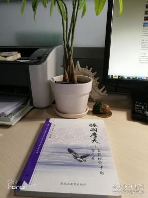 【东北三江流域文化丛书】振羽摩天：多维视野中的海东青