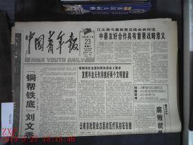 中国青年报 1996.11.23