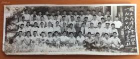 国立武汉大学机械系1950级师生合影照片1张