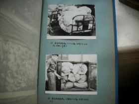 70年代【我国铁路邮运干线-搬运装卸技术体制研究报告】照片集一本56张！原底版后翻洗的