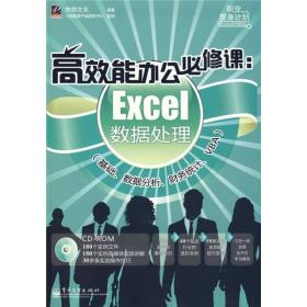 职业逆身计划·高效能办公必修课：Excel数据处理（基础、数据分析、财务统计、VBA）