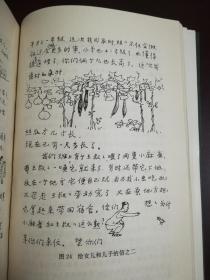 画家宗其香传 (书后附录宗其香年表和彩色图版16页)