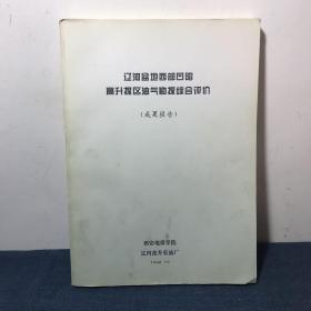 辽河盆地西部凹陷高升探区油气勘探综合评价（成果报告）