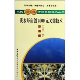 淡水基围虾养殖技术书籍 淡水虾亩创4000元关键技术（彩插版）