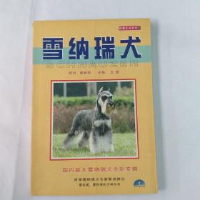 经典名犬系列5：金毛寻回猎犬